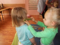kliknij.