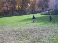 kliknij.